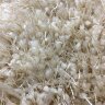 Дорожка TROPICAL 1 м (CREAM)