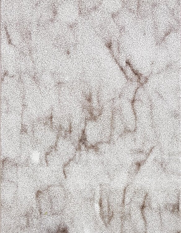 Дорожка AVRORA  2,5 м  31696A  CREAM \ CREAM